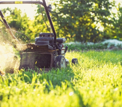 How to Keep Your Grass Green and Healthy