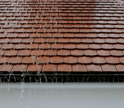 Getting Your Landscape Ready for Fall and Winter Rain