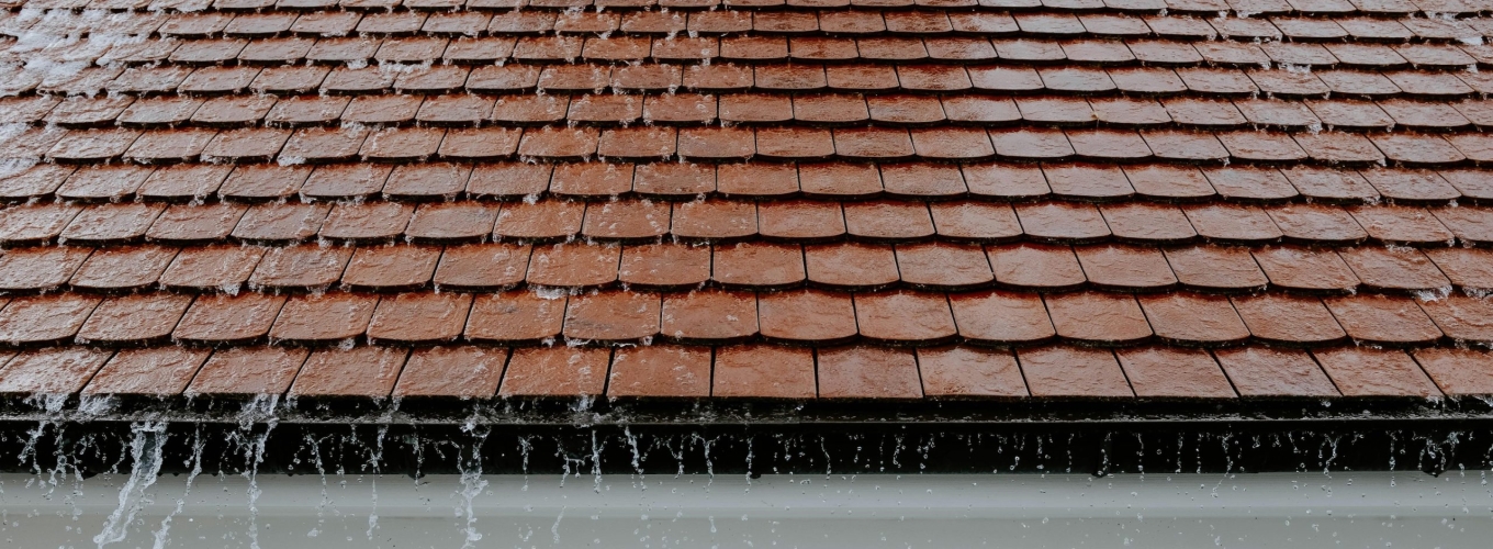 Getting Your Landscape Ready for Fall and Winter Rain